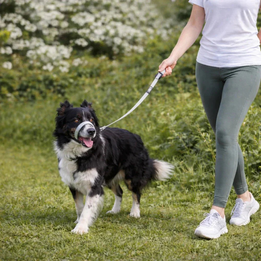 WalkEasy — Marchez sans tirer
