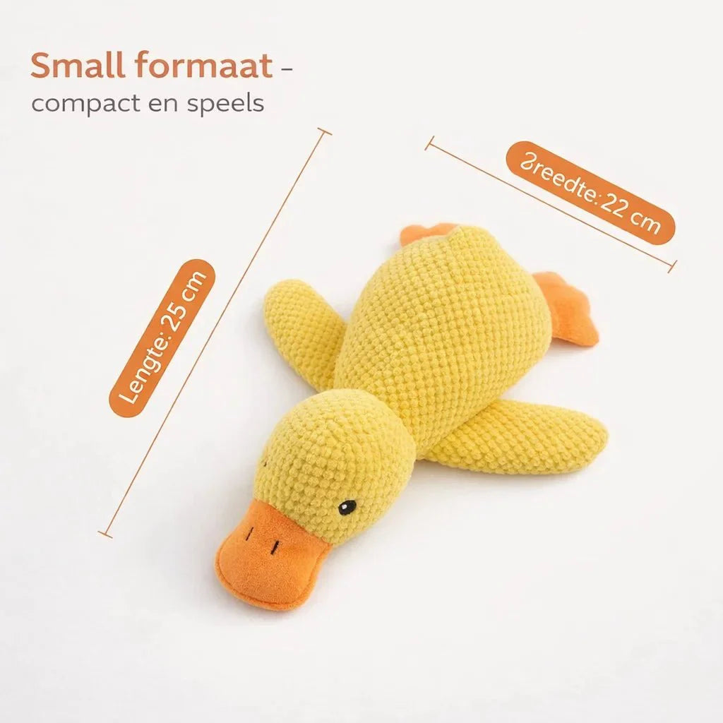 CalmiDuck – La sérénité pour votre chien, sans effort