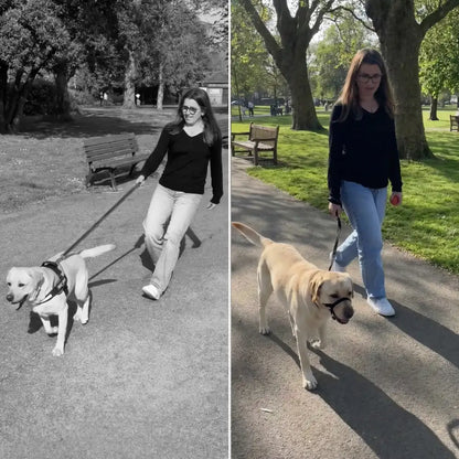 WalkEasy — Marchez sans tirer