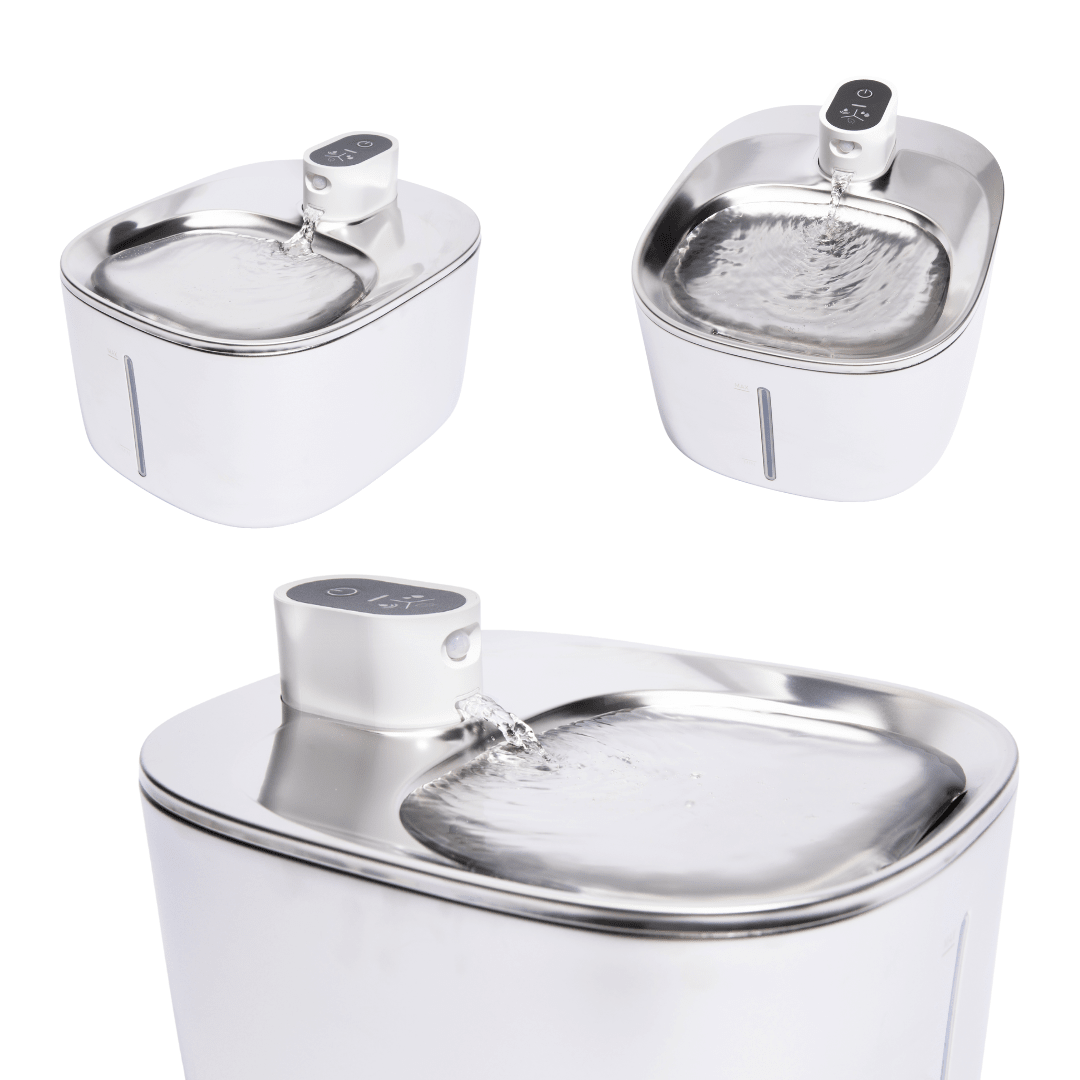 ZuiverPoot – Une eau courante et filtrée pour un chat en meilleure santé
