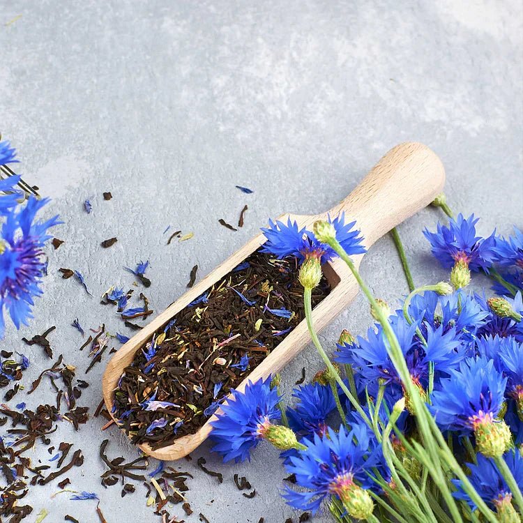 BloemenPracht — Un jardin de fleurs colorées
