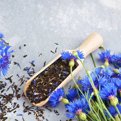 BloemenPracht — Un jardin de fleurs colorées