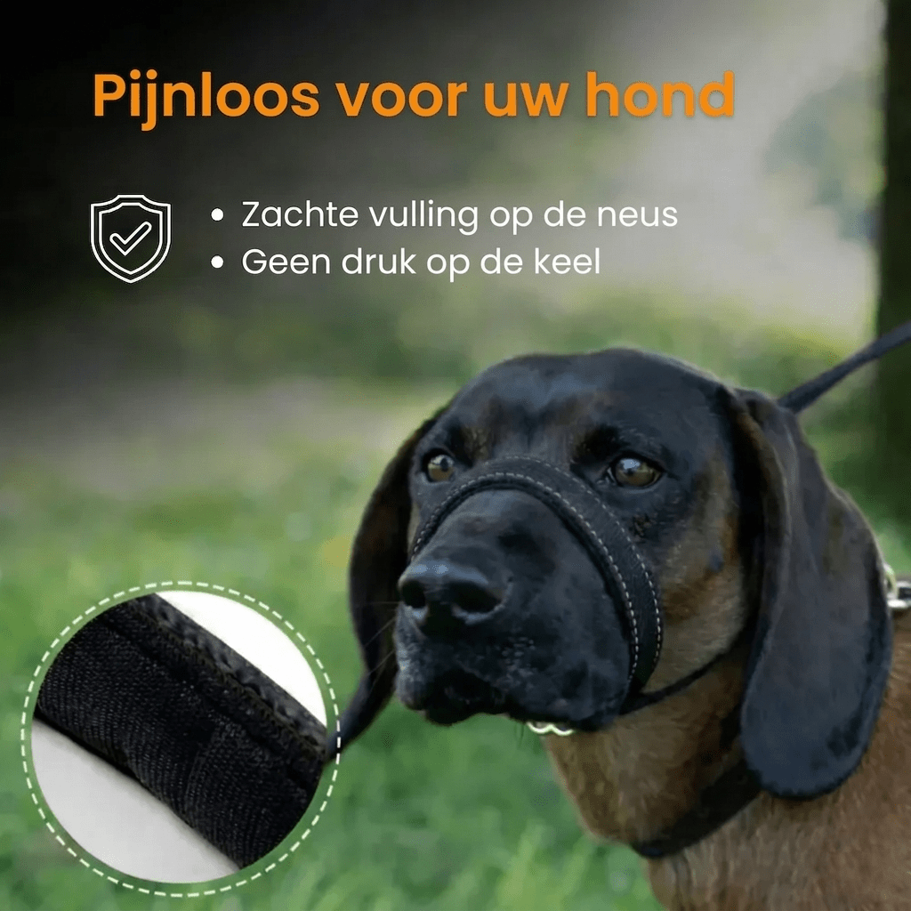 WalkEasy — Marchez sans tirer