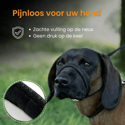 WalkEasy — Marchez sans tirer