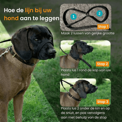 WalkEasy — Marchez sans tirer