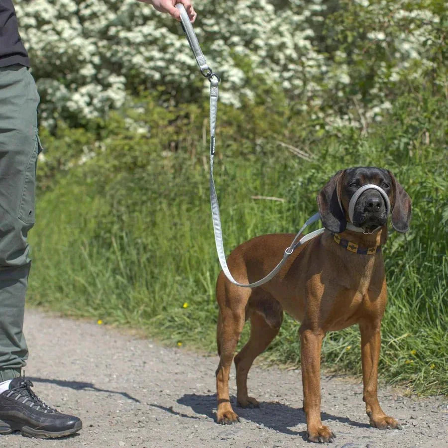 WalkEasy — Marchez sans tirer