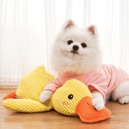 CalmiDuck – La sérénité pour votre chien, sans effort