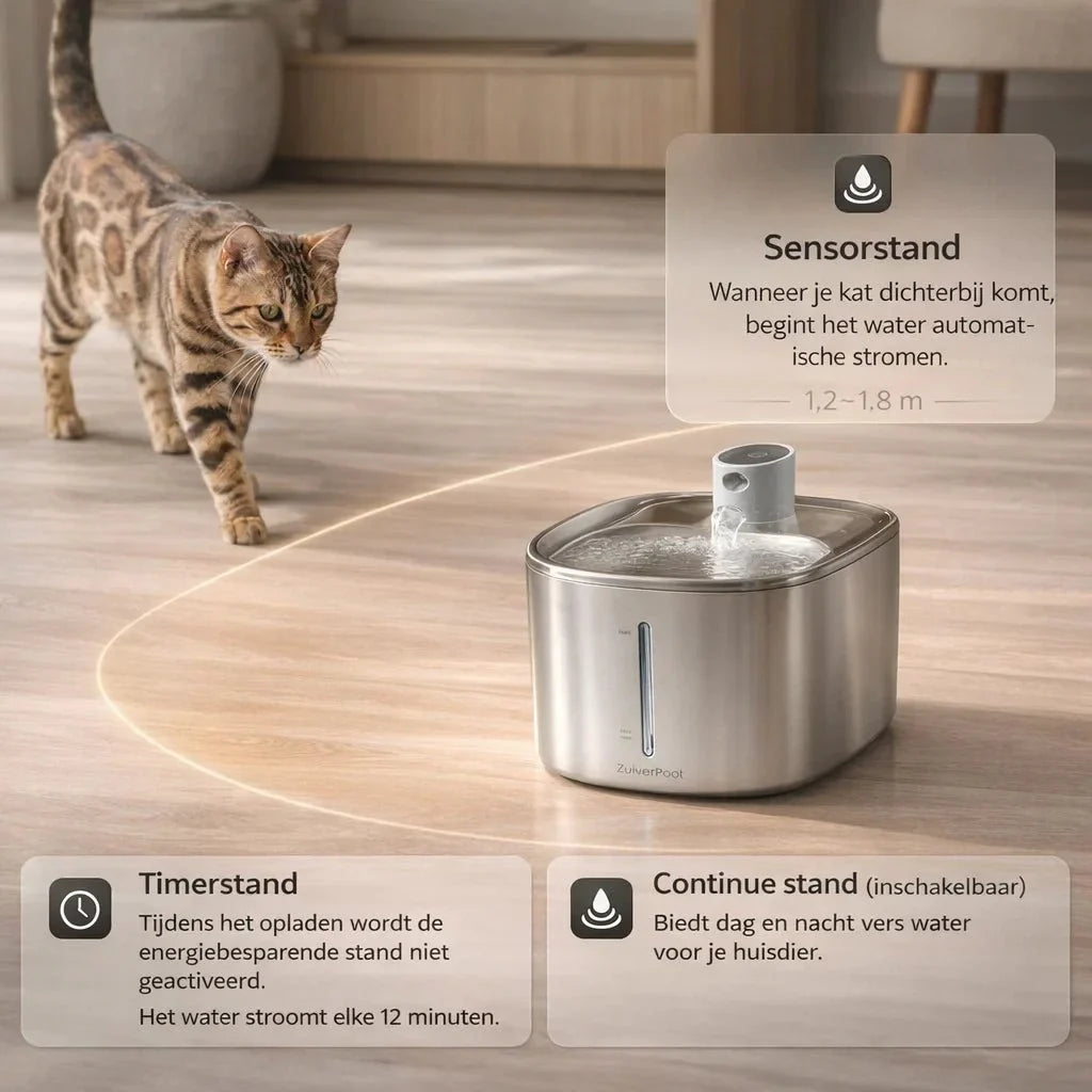 ZuiverPoot – Une eau courante et filtrée pour un chat en meilleure santé