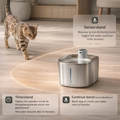 ZuiverPoot – Une eau courante et filtrée pour un chat en meilleure santé