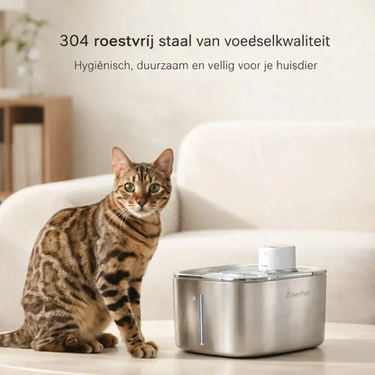 ZuiverPoot – Une eau courante et filtrée pour un chat en meilleure santé