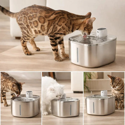 ZuiverPoot – Une eau courante et filtrée pour un chat en meilleure santé
