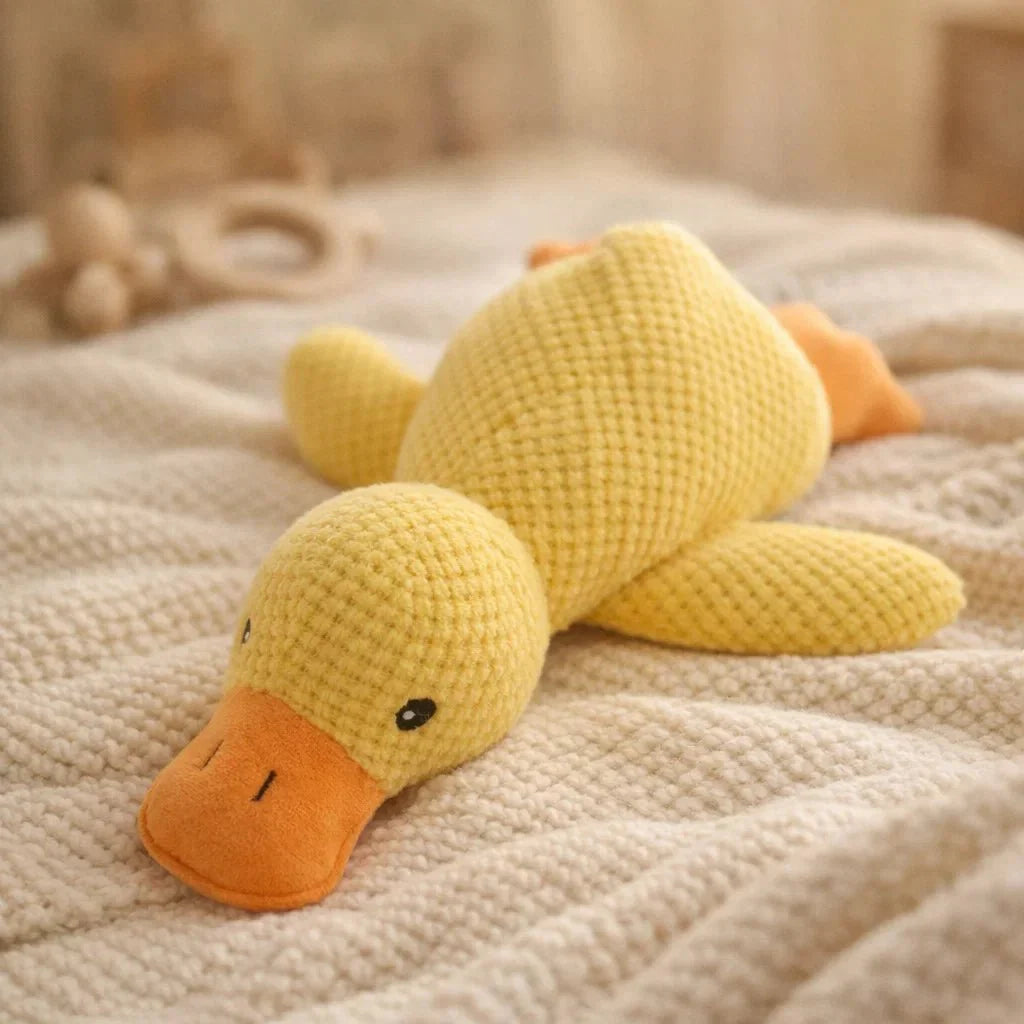CalmiDuck – La sérénité pour votre chien, sans effort