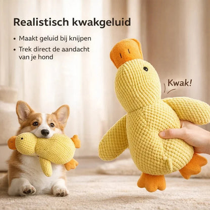CalmiDuck – La sérénité pour votre chien, sans effort