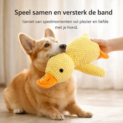 CalmiDuck – La sérénité pour votre chien, sans effort