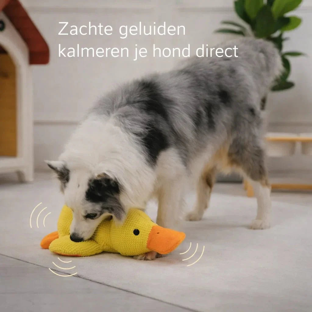 CalmiDuck – La sérénité pour votre chien, sans effort