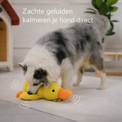 CalmiDuck – La sérénité pour votre chien, sans effort