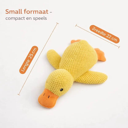 CalmiDuck – La sérénité pour votre chien, sans effort